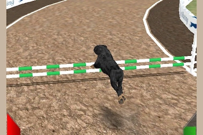 Dog Racing Simulator